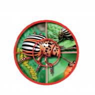 Від колорадського жука